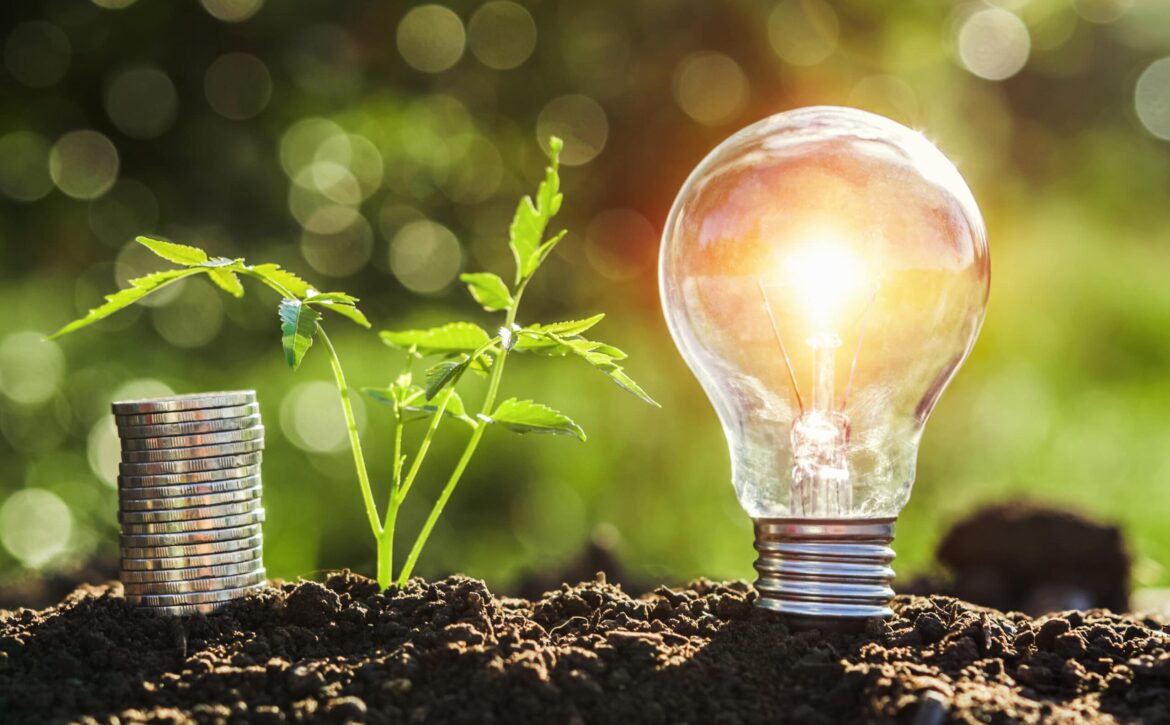 lightbulb with small tree and money stack on soil in nature suns